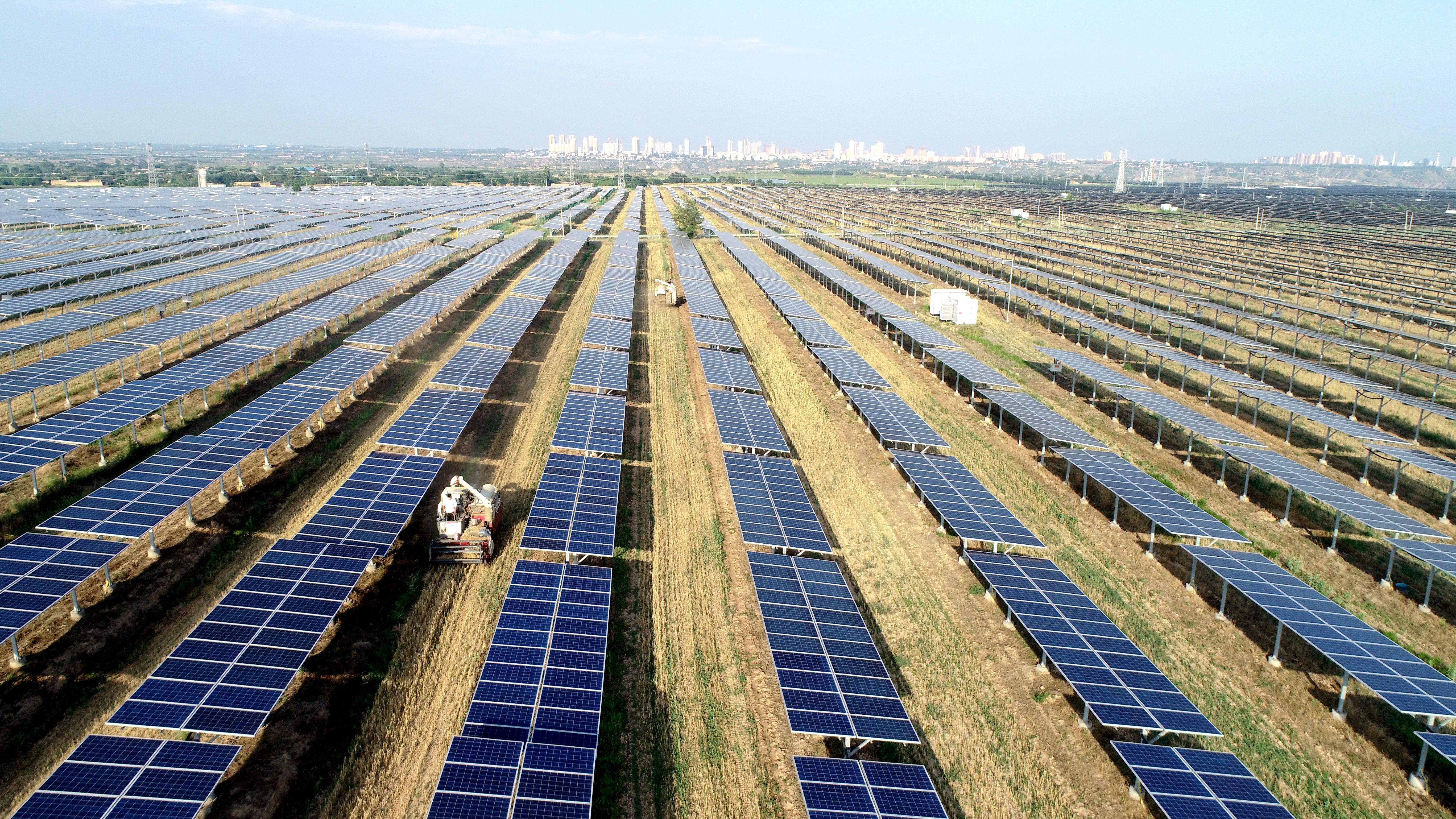 2.大唐澄城安里10萬千瓦農(nóng)光互補(bǔ)光伏電站采取“農(nóng)光互補(bǔ)”模式，不僅大大提高土地綜合利用率，還帶動當(dāng)?shù)卮迕裨诩议T口就業(yè)，促進(jìn)農(nóng)民增收。任永紅攝 .jpg